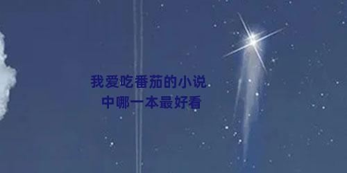 我爱吃番茄的小说中哪一本最好看