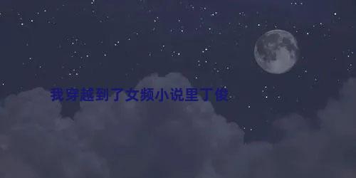 我穿越到了女频小说里丁俊