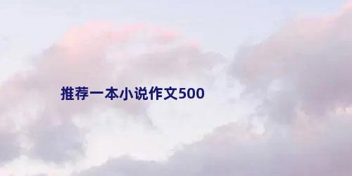推荐一本小说作文500