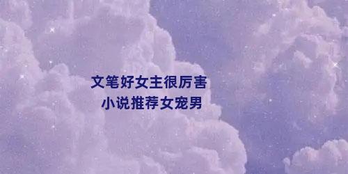 文笔好女主很厉害小说推荐女宠男