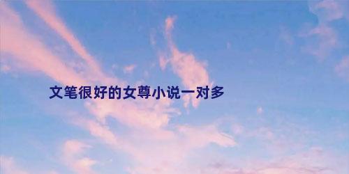 文笔很好的女尊小说一对多