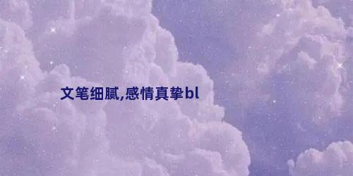 文笔细腻,感情真挚bl