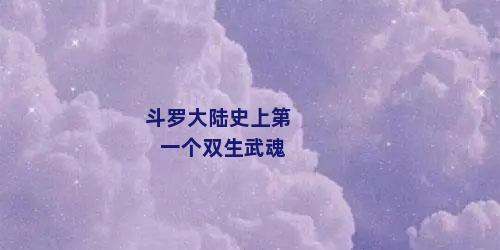 斗罗大陆史上第一个双生武魂