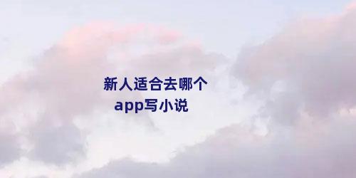 新人适合去哪个app写小说