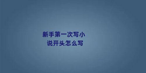 新手第一次写小说开头怎么写