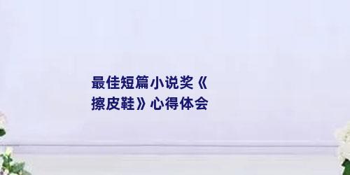 最佳短篇小说奖《擦皮鞋》心得体会