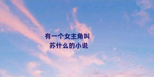 有一个女主角叫苏什么的小说