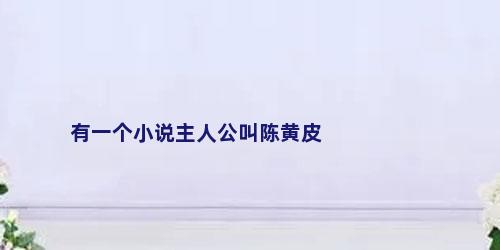 有一个小说主人公叫陈黄皮