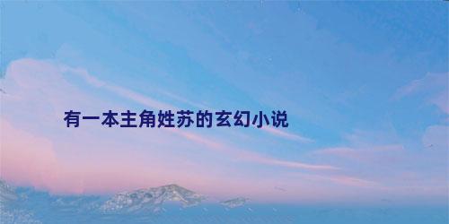 有一本主角姓苏的玄幻小说