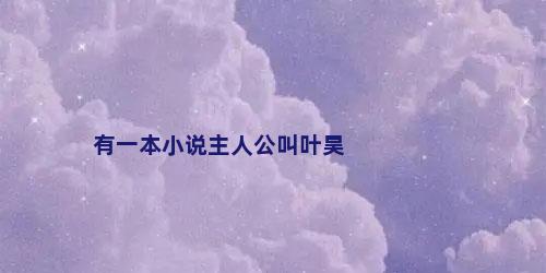 有一本小说主人公叫叶昊