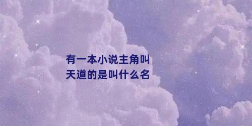 有一本小说主角叫天道的是叫什么名