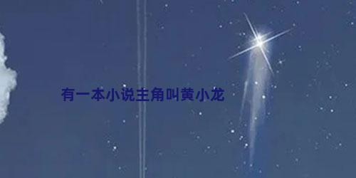 有一本小说主角叫黄小龙