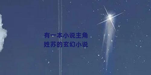 有一本小说主角姓苏的玄幻小说