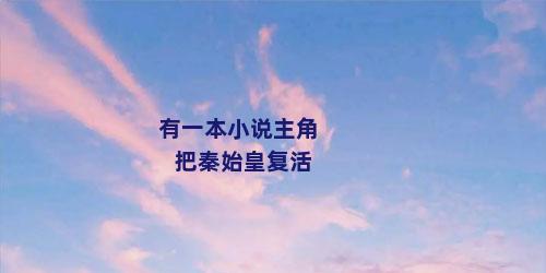 有一本小说主角把秦始皇复活