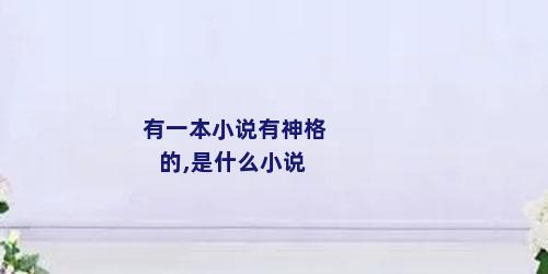 有一本小说有神格的,是什么小说