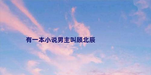 有一本小说男主叫顾北辰