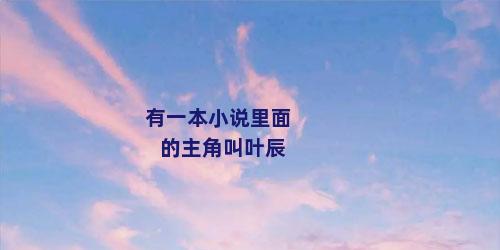 有一本小说里面的主角叫叶辰