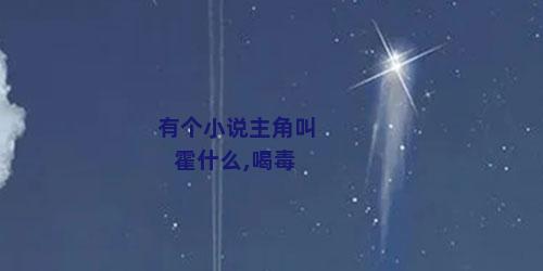 有个小说主角叫霍什么,喝毒