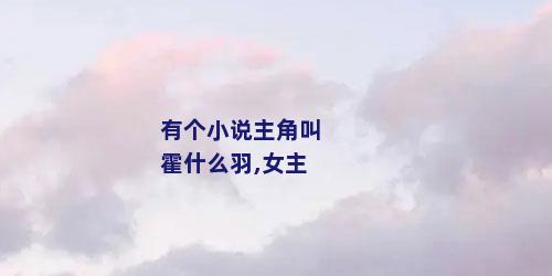 有个小说主角叫霍什么羽,女主