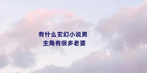 有什么玄幻小说男主角有很多老婆