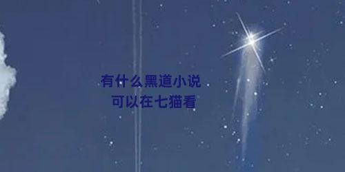 有什么黑道小说可以在七猫看