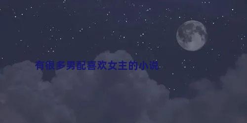 有很多男配喜欢女主的小说