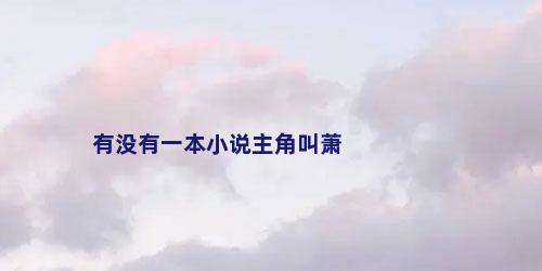 有没有一本小说主角叫萧