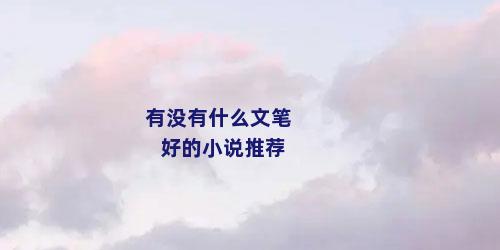 有没有什么文笔好的小说推荐