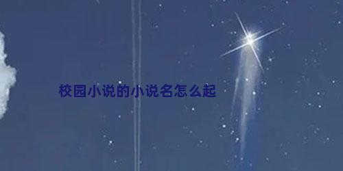 校园小说的小说名怎么起