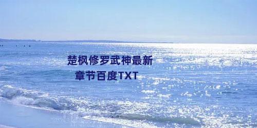 楚枫修罗武神最新章节百度TXT