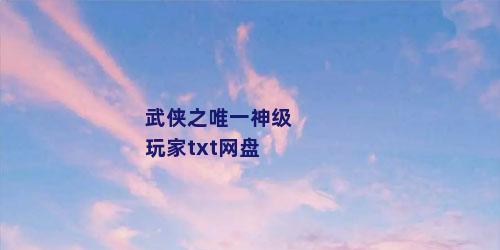 武侠之唯一神级玩家txt网盘