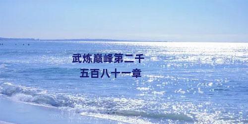 武炼巅峰第二千五百八十一章