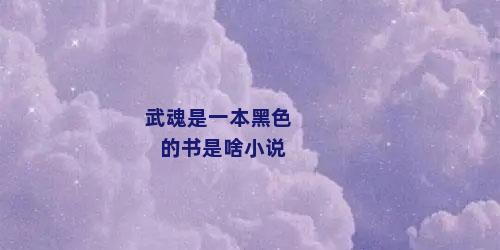 武魂是一本黑色的书是啥小说
