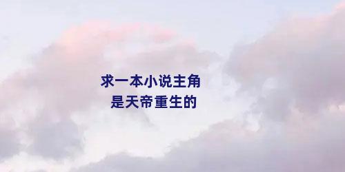求一本小说主角是天帝重生的