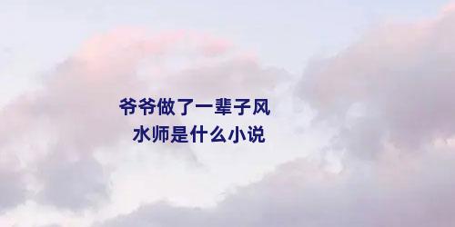 爷爷做了一辈子风水师是什么小说