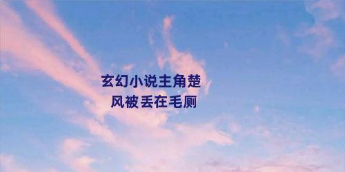 玄幻小说主角楚风被丢在毛厕