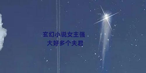 玄幻小说女主强大好多个夫君