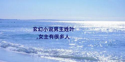 玄幻小说男主姓叶,女主有很多人