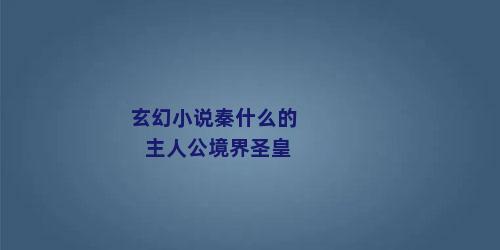 玄幻小说秦什么的主人公境界圣皇