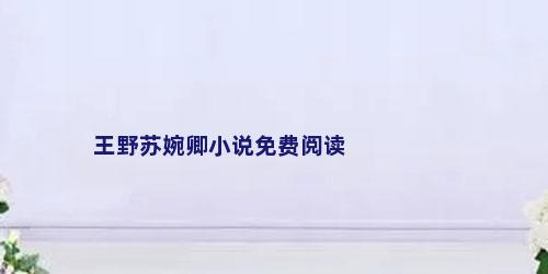 王野苏婉卿小说免费阅读