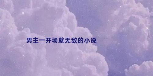 男主一开场就无敌的小说