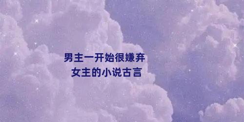男主一开始很嫌弃女主的小说古言