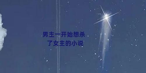 男主一开始想杀了女主的小说