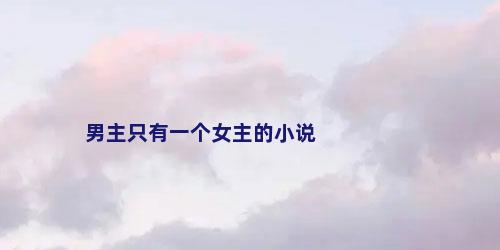 男主只有一个女主的小说