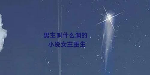 男主叫什么渊的小说女主重生