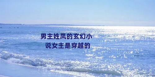 男主姓凤的玄幻小说女主是穿越的