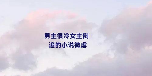 男主很冷女主倒追的小说微虐