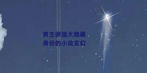 男主很强大隐藏身份的小说玄幻
