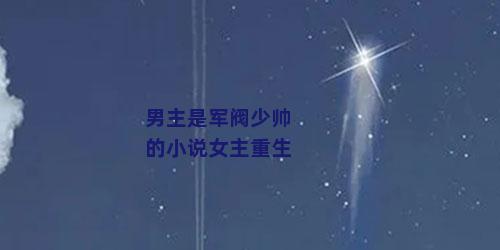 男主是军阀少帅的小说女主重生