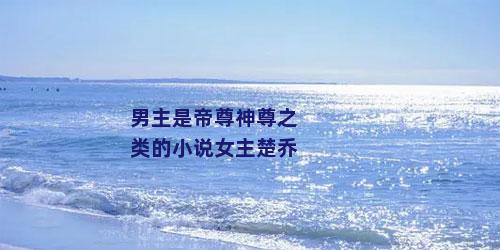 男主是帝尊神尊之类的小说女主楚乔